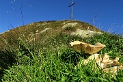 41 Funghi sul Pizzo delle segade...